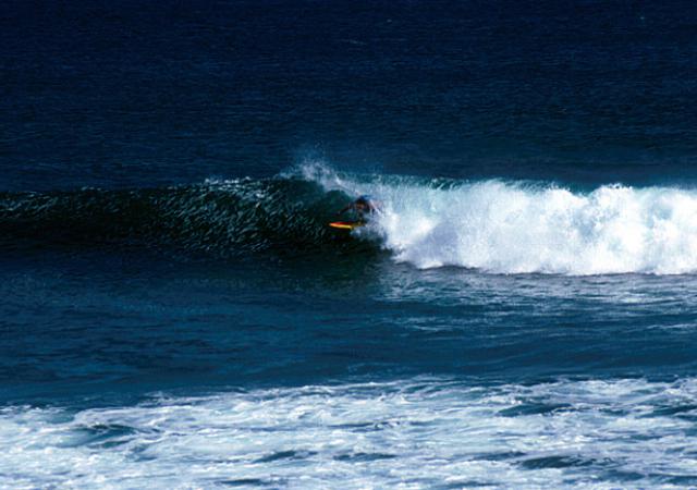 CowOldBaja 11